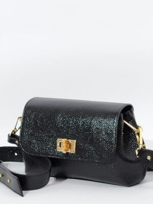 Сумочка Di Gregorio gr821 vitello lux nero oro средняя